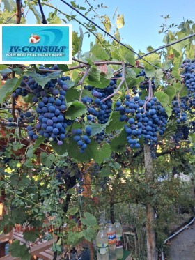 ������� ���� | Imot.bg � ����� ������ 13