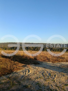   | Imot.bg    3
