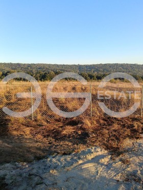   | Imot.bg    5
