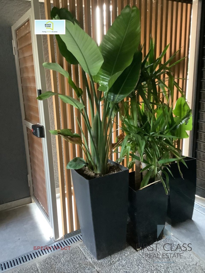 Продава МЕЗОНЕТ, Извън страната, област Извън страната, снимка 4 - Апартаменти - 52799466