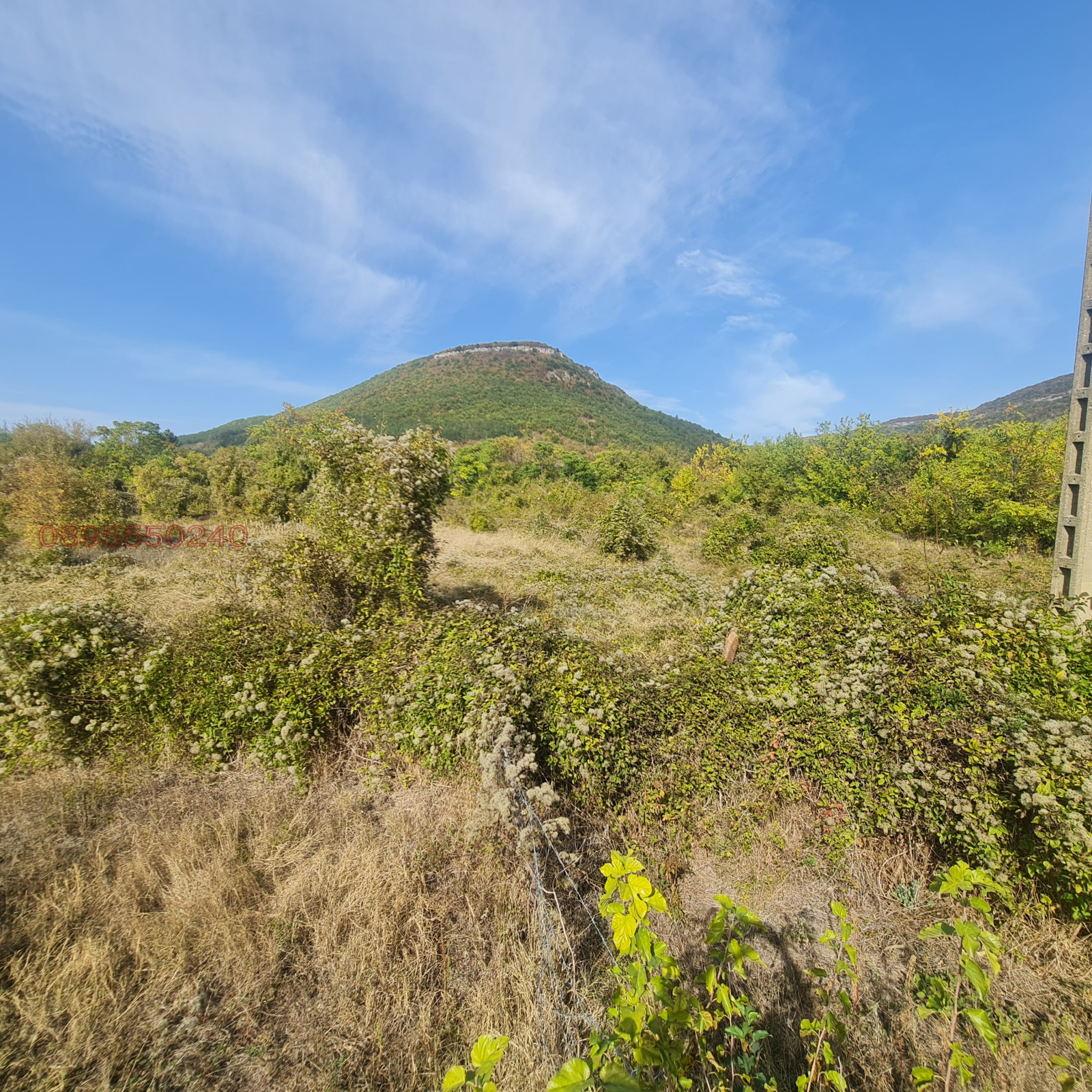 ������� ������ | Imot.bg � ����������� 2