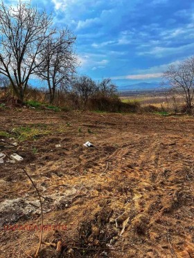 Grund Perushtitsa, region Plovdiv 5