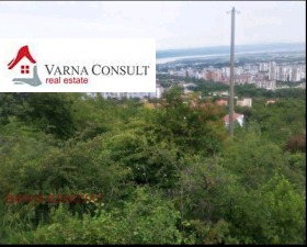 In vendita Complotto