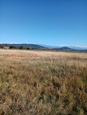 ������� ������ | Imot.bg � ����� ������ 8
