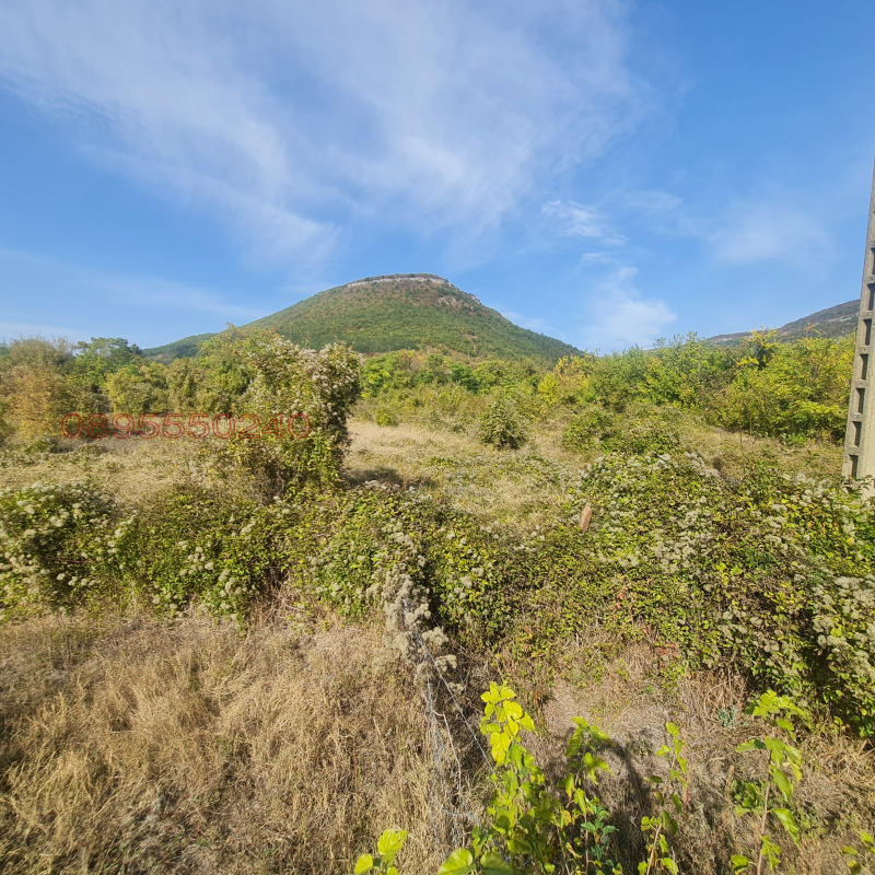 Продава ПАРЦЕЛ, с. Осмар, област Шумен, снимка 2 - Парцели - 52780373