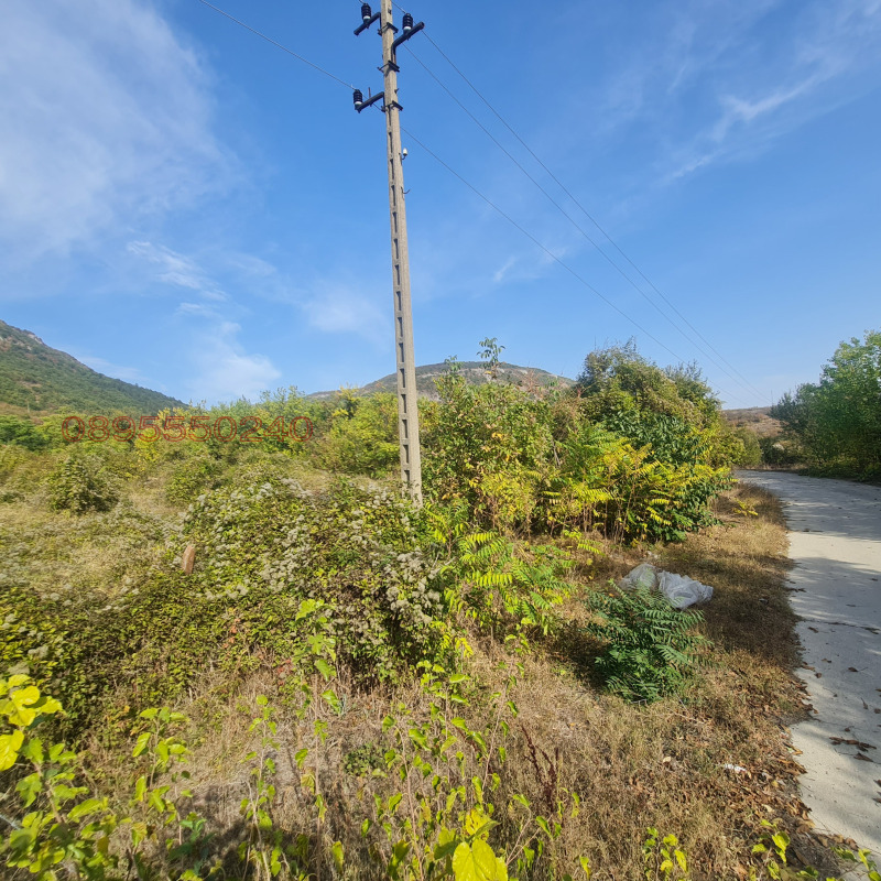 Продава ПАРЦЕЛ, с. Осмар, област Шумен, снимка 4 - Парцели - 52780373