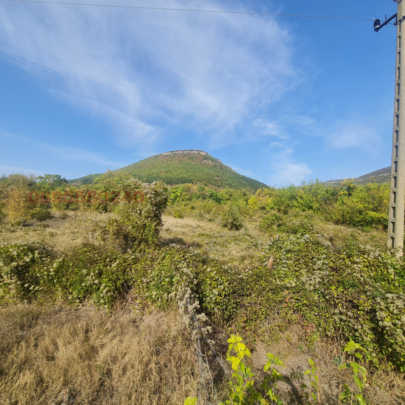 Продава ПАРЦЕЛ, с. Осмар, област Шумен, снимка 3 - Парцели - 52780373