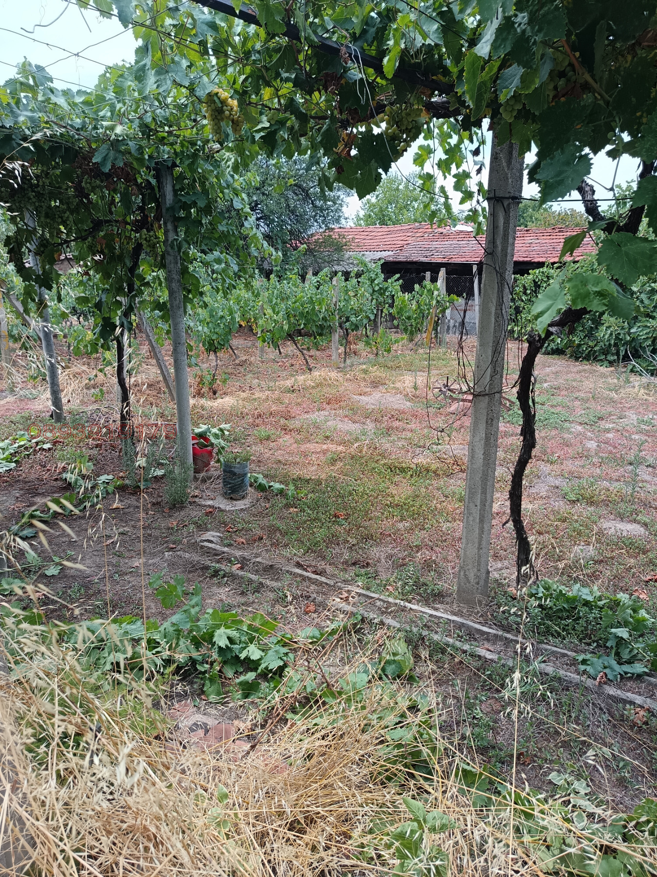 ������� ���� | Imot.bg � ����������� 5
