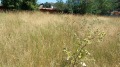 Продава КЪЩА, с. Продановци, област София област, снимка 6