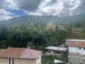 Продава КЪЩА, област Смолян, с. Забърдо • 46000 € / 89968.18 лв. • 44007988 6