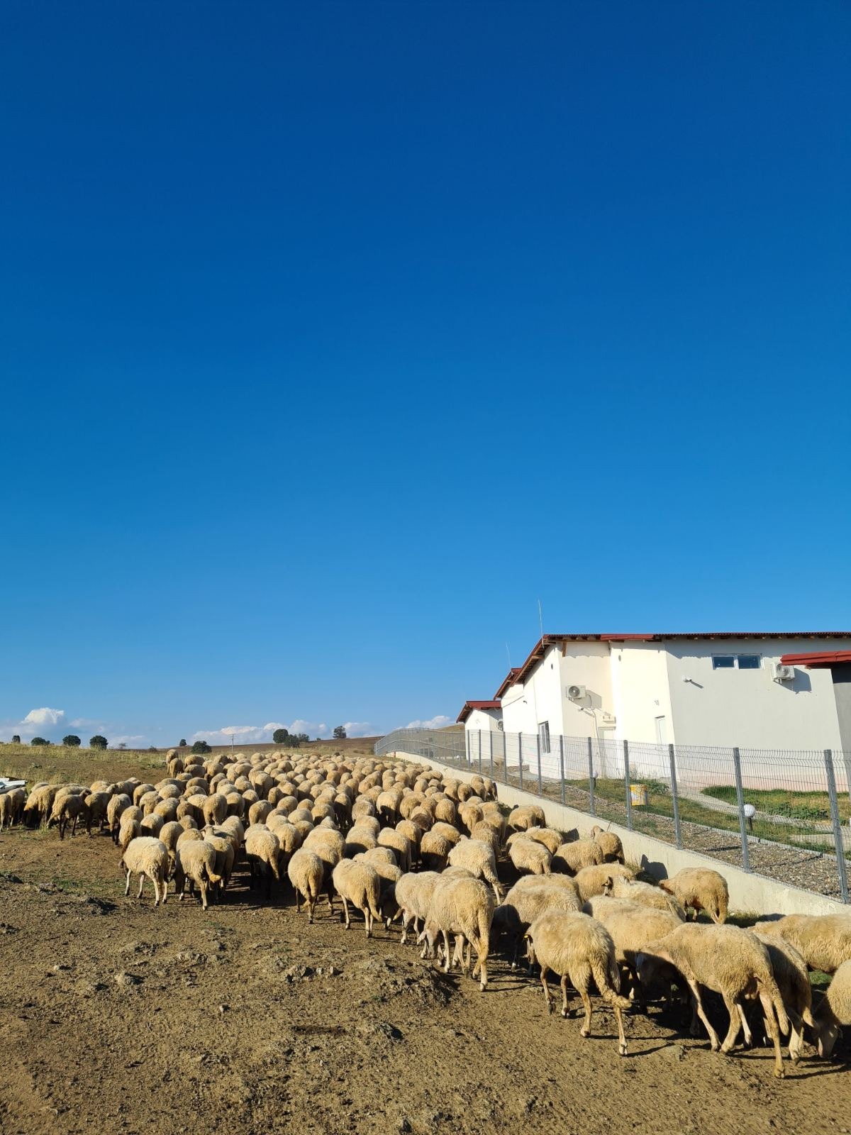 ������� ����� | Imot.bg � ����������� 8