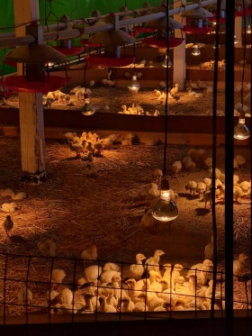 ������� ����� | Imot.bg � ����� ������ 15