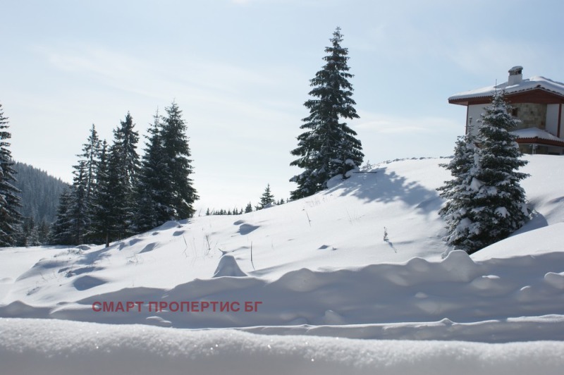 Продава 1-СТАЕН, к.к. Пампорово, област Смолян, снимка 9 - Апартаменти - 52575054