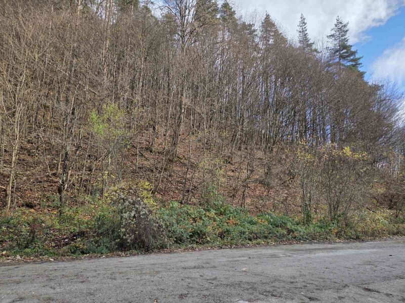 Продава ПАРЦЕЛ, с. Черни Осъм, област Ловеч, снимка 9 - Парцели - 52551318