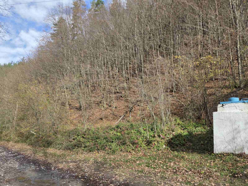 Продава ПАРЦЕЛ, с. Черни Осъм, област Ловеч, снимка 8 - Парцели - 52551318