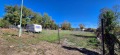 Продава ПАРЦЕЛ, с. Голец, област Ловеч, снимка 11