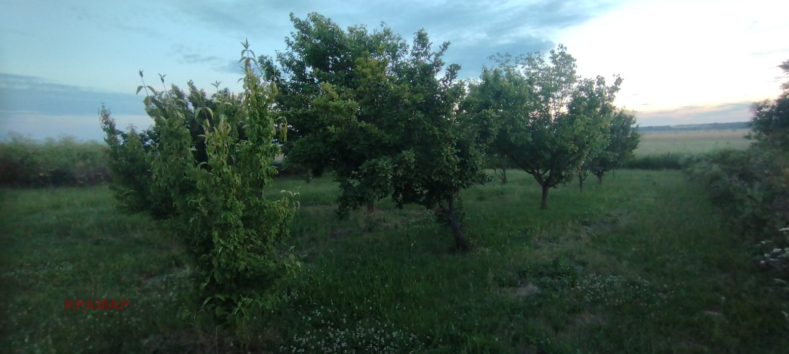 ������� ������ | Imot.bg � ����������� 3