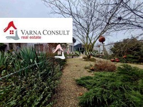 ������ ������� ����