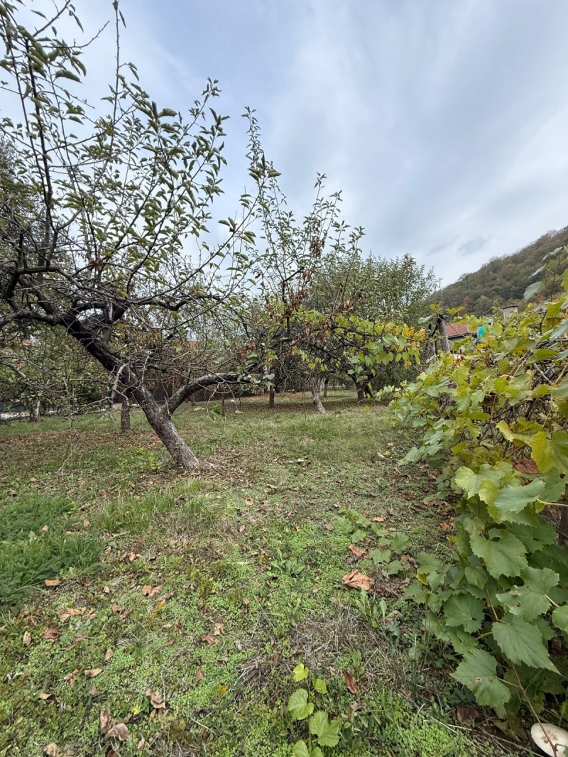 Продава ПАРЦЕЛ, с. Врачеш, област София област, снимка 5 - Парцели - 53053667