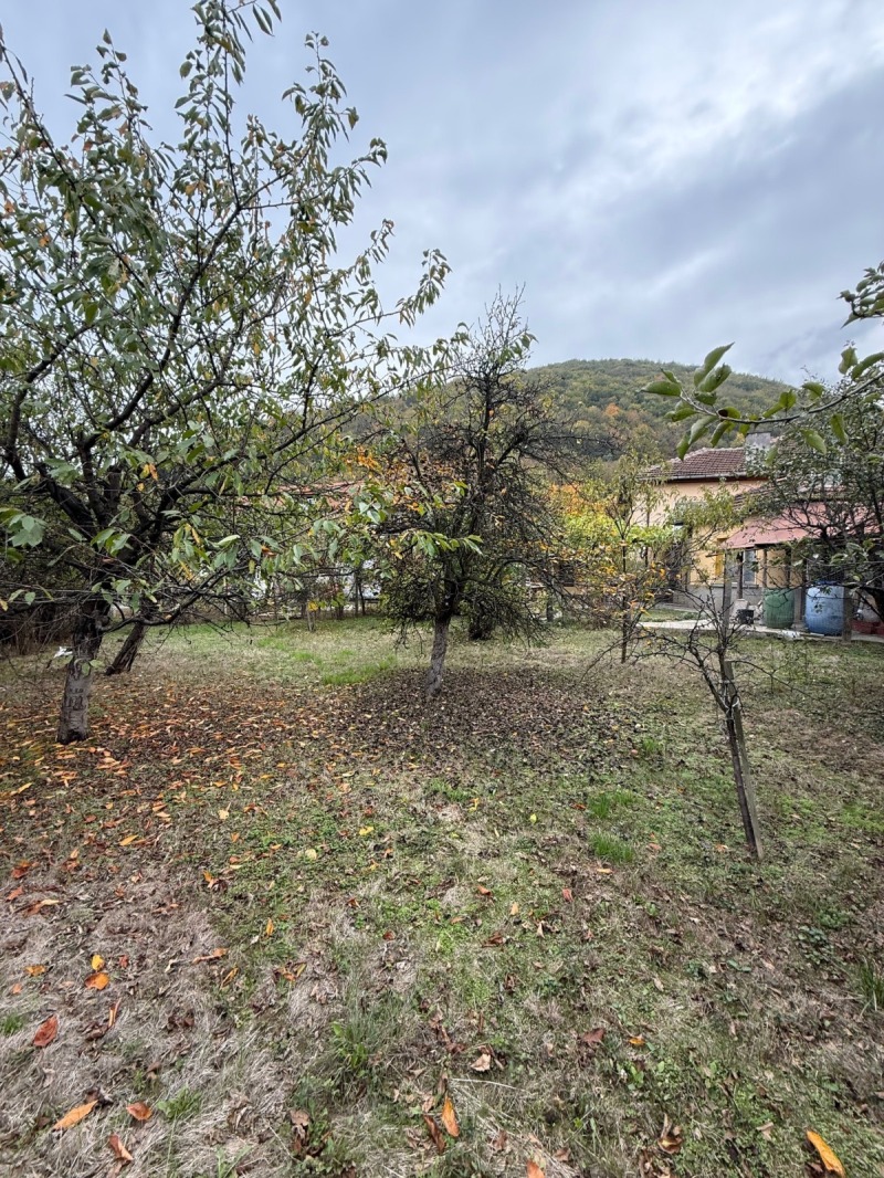 Продава ПАРЦЕЛ, с. Врачеш, област София област, снимка 4 - Парцели - 53053667