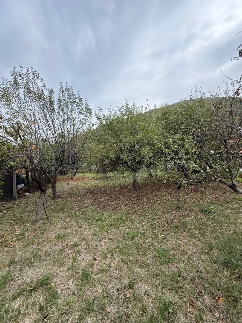 Продава ПАРЦЕЛ, с. Врачеш, област София област, снимка 6 - Парцели - 53053667