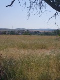 Продава ЗЕМЕДЕЛСКА ЗЕМЯ, гр. Хисаря, област Пловдив, снимка 2