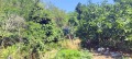 Продава ПАРЦЕЛ, град Варна, м-т Сълзица • 60000 € • 45371524 — Holmes.bg