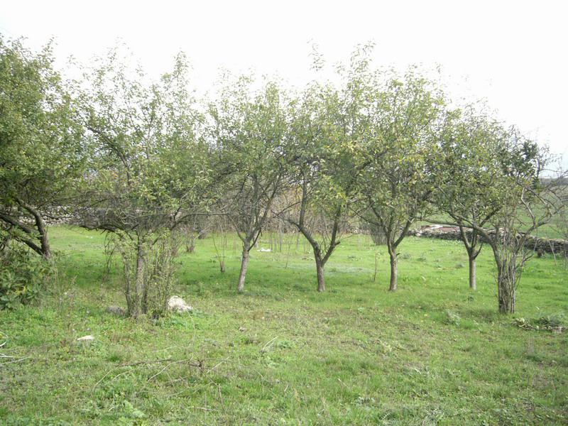 Продава КЪЩА | Imot.bg — изображение 8