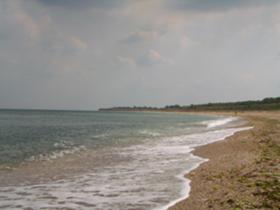 Кућа Ал. Стамболијски, регион Добрицх 15