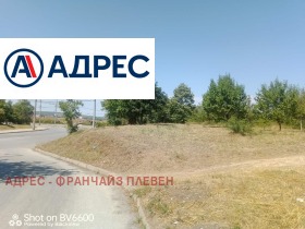 Сюжет Дружба 3, Плевен