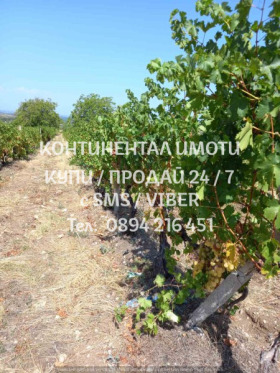 ������� ���������� ���� | Imot.bg � ����� ������ 6