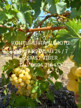 ������� ���������� ���� | Imot.bg � ����� ������ 9