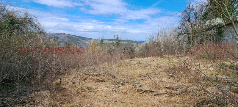 Продава  Парцел град София , в.з.Килиите , 4835 кв.м | 48373513 - изображение [4]