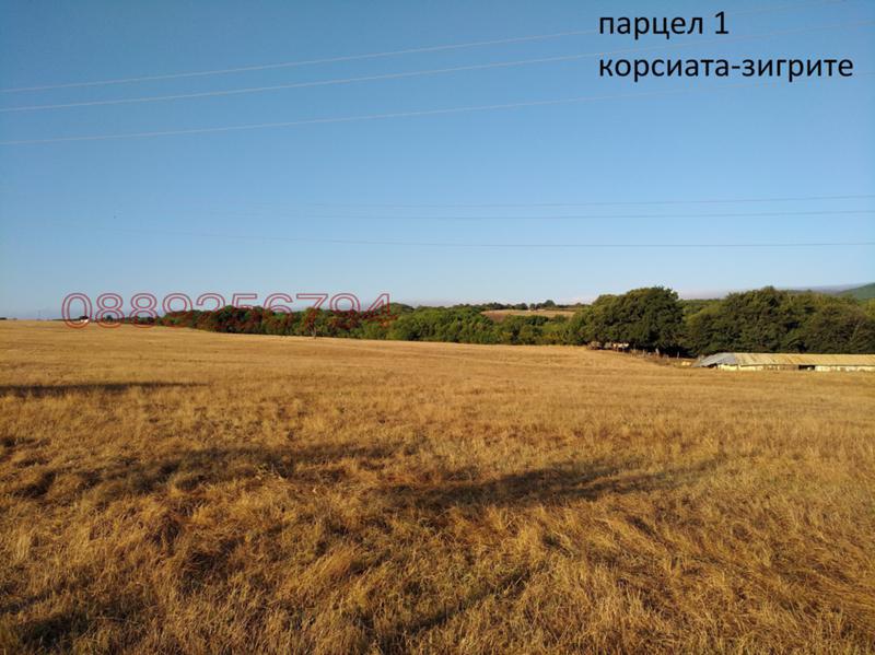 Продава ЗЕМЕДЕЛСКА ЗЕМЯ, гр. Ахтопол, област Бургас, снимка 4 - Земеделска земя - 52785362