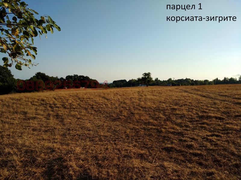 Продава ЗЕМЕДЕЛСКА ЗЕМЯ, гр. Ахтопол, област Бургас, снимка 7 - Земеделска земя - 52785362