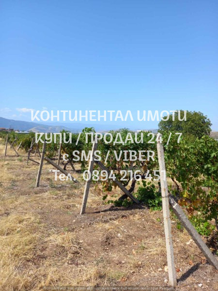 Te koop  Land regio Plovdiv , Perushtitsa , 3 dka | 50499383 - afbeelding [4]