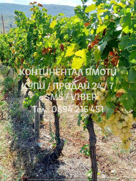 Te koop  Land regio Plovdiv , Perushtitsa , 3 dka | 50499383 - afbeelding [7]