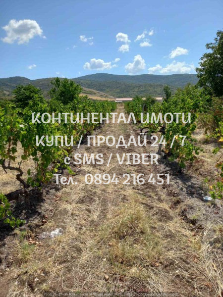 Na prodej  Přistát oblast Plovdiv , Peruštica , 3 dka | 50499383 - obraz [5]