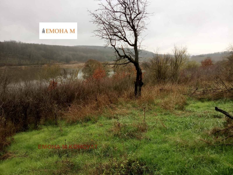 Продава ЗЕМЕДЕЛСКА ЗЕМЯ, с. Генерал Колево, област Варна, снимка 2 - Земеделска земя - 52687387