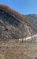Продава ПАРЦЕЛ, област Пловдив, гр. Кричим • 76900 € • 49585549 — Holmes.bg