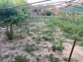 Продава  Къща област Хасково , гр. Любимец , 150 кв.м | 63865583 - изображение [14]