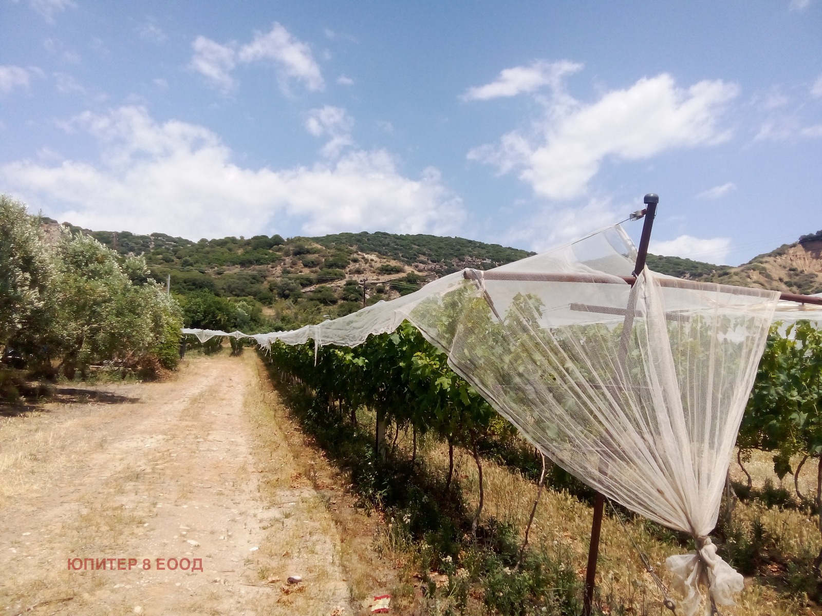 ������� ������ | Imot.bg � ����������� 6