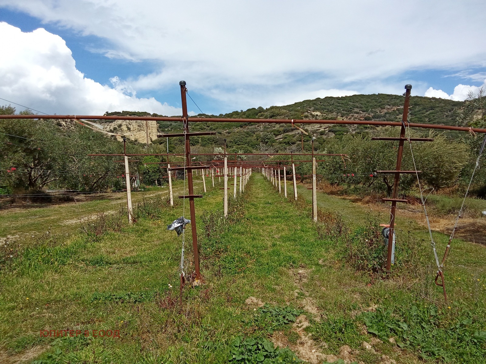 ������� ������ | Imot.bg � ����������� 11