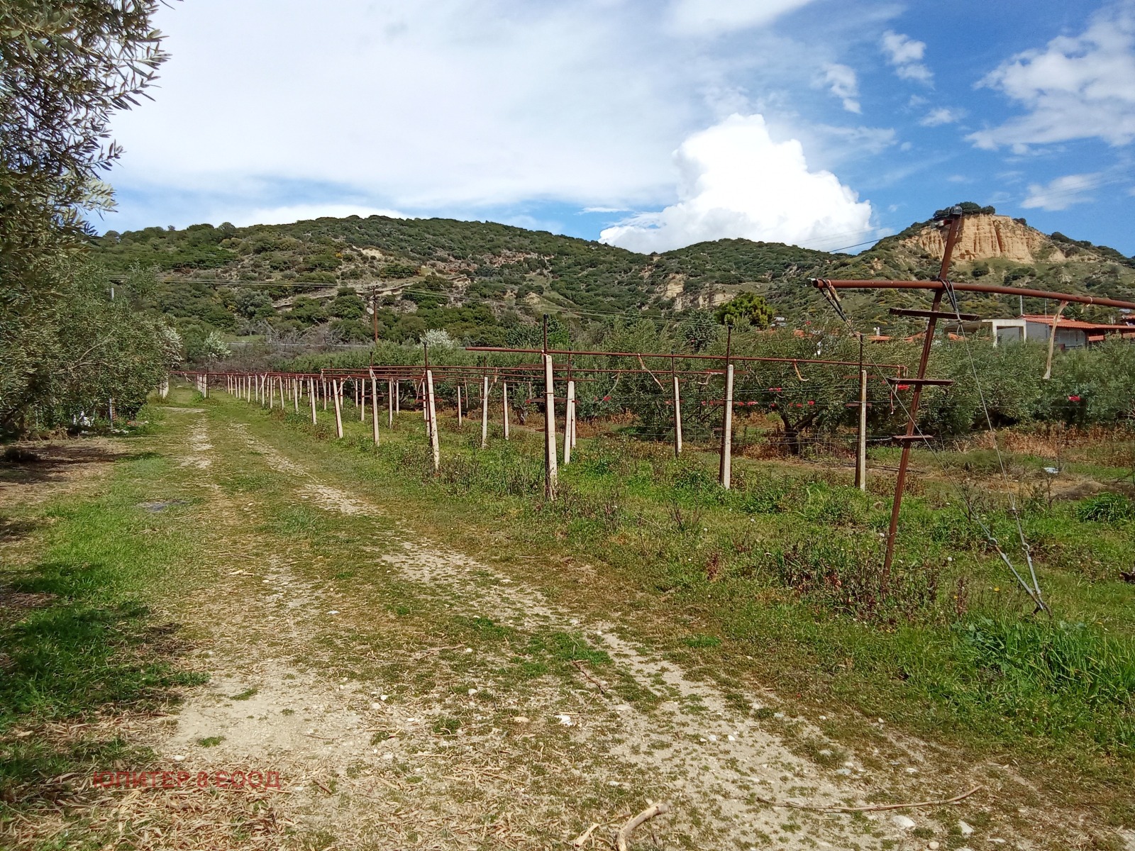 ������� ������ | Imot.bg � ����������� 4