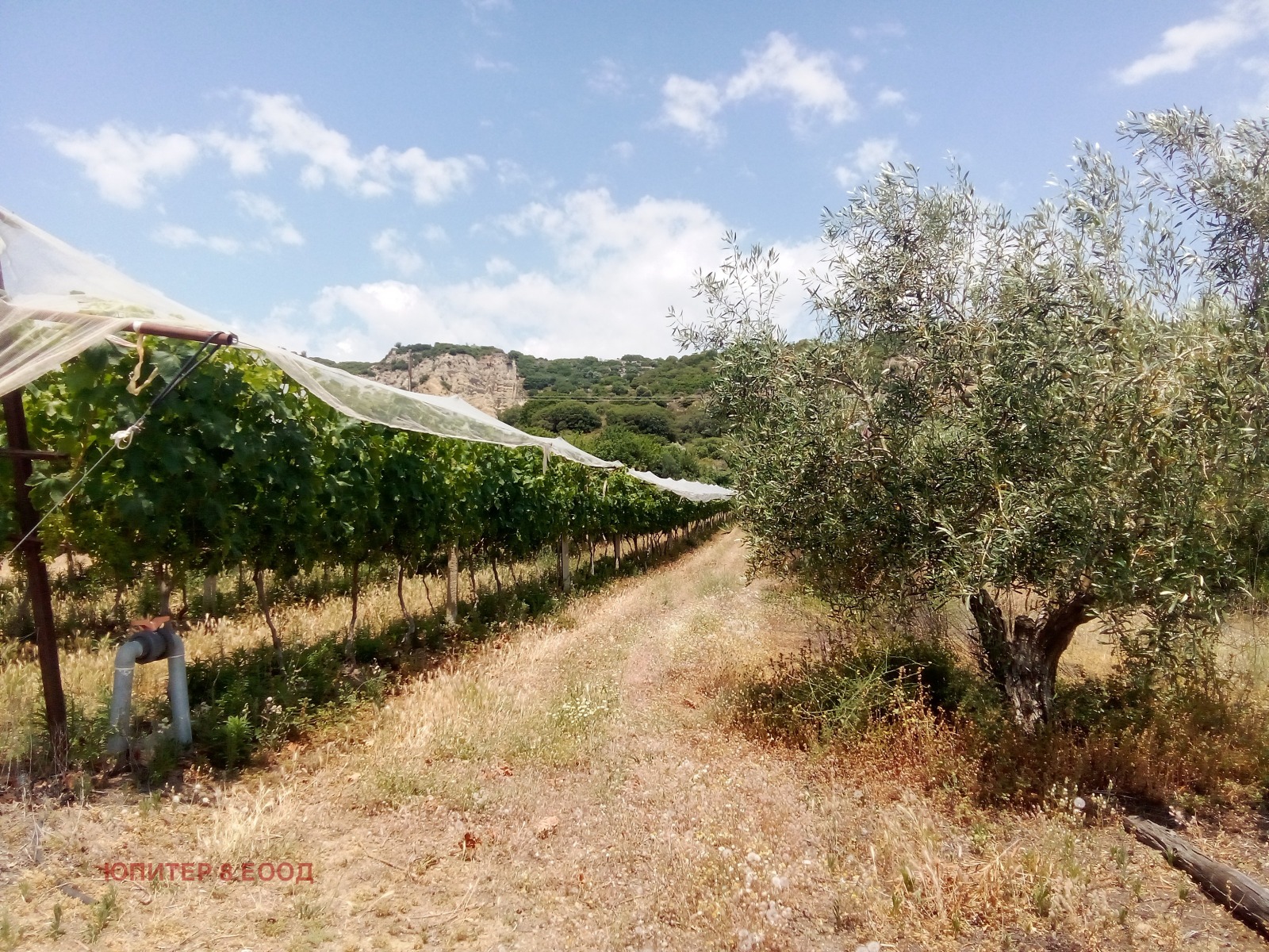 ������� ������ | Imot.bg � ����������� 8