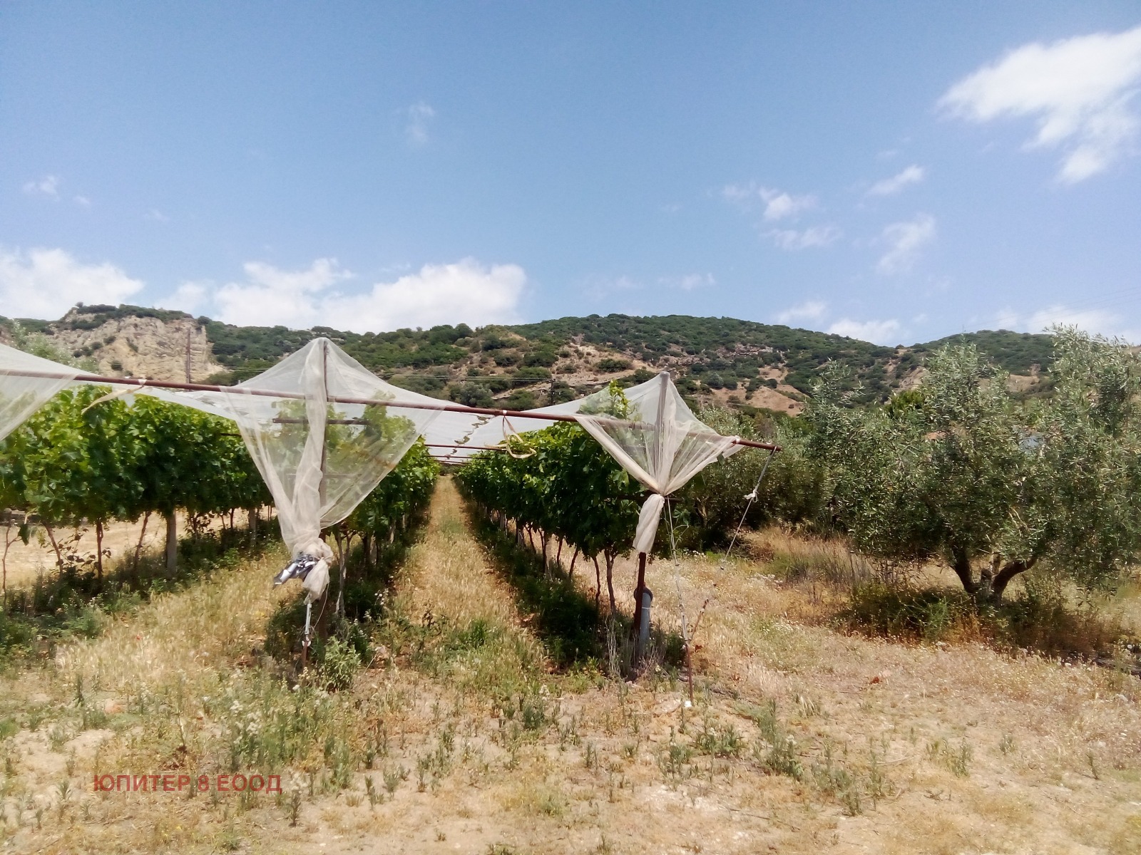 ������� ������ | Imot.bg � ����������� 14