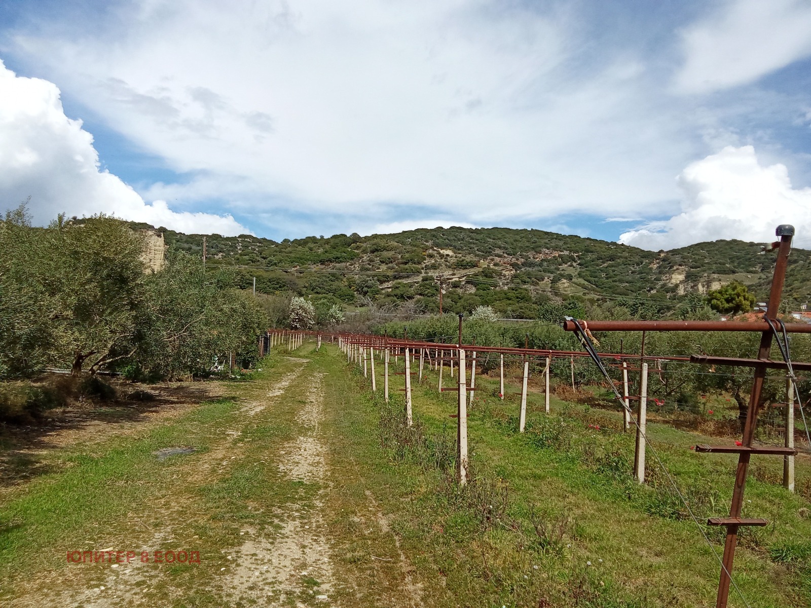 ������� ������ | Imot.bg � ����������� 2