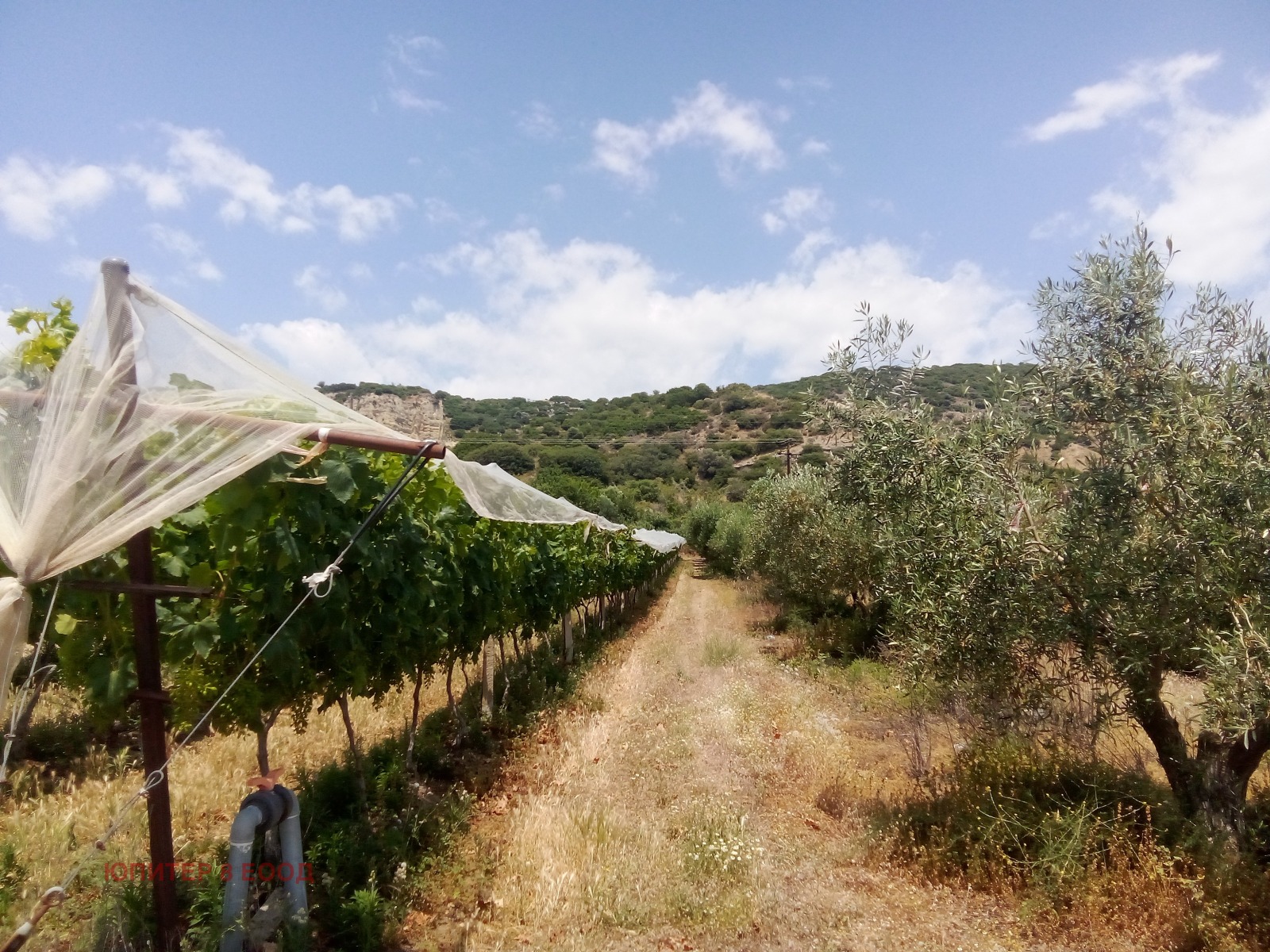 ������� ������ | Imot.bg � ����������� 7