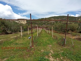 ������� ������ | Imot.bg � ����� ������ 11