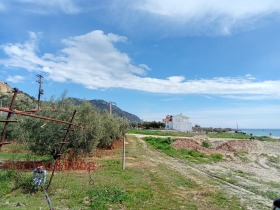 ����� ������� ������,������, ������